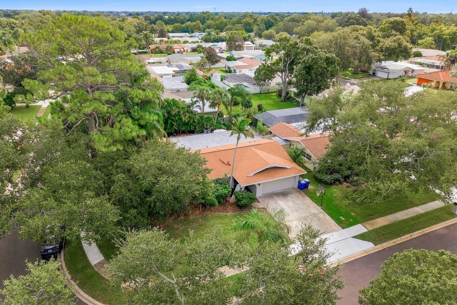 AERIAL