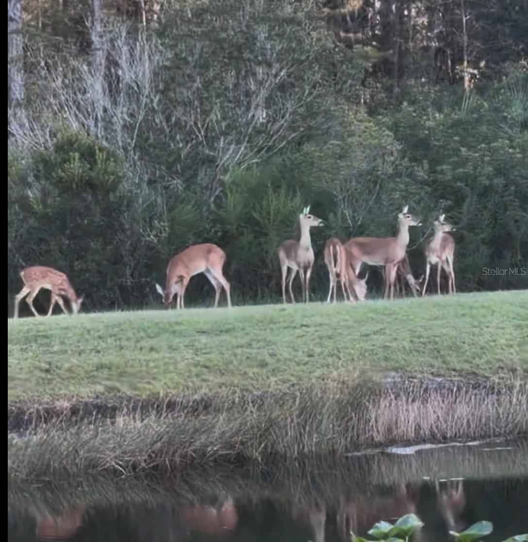 Nature at it's finest
