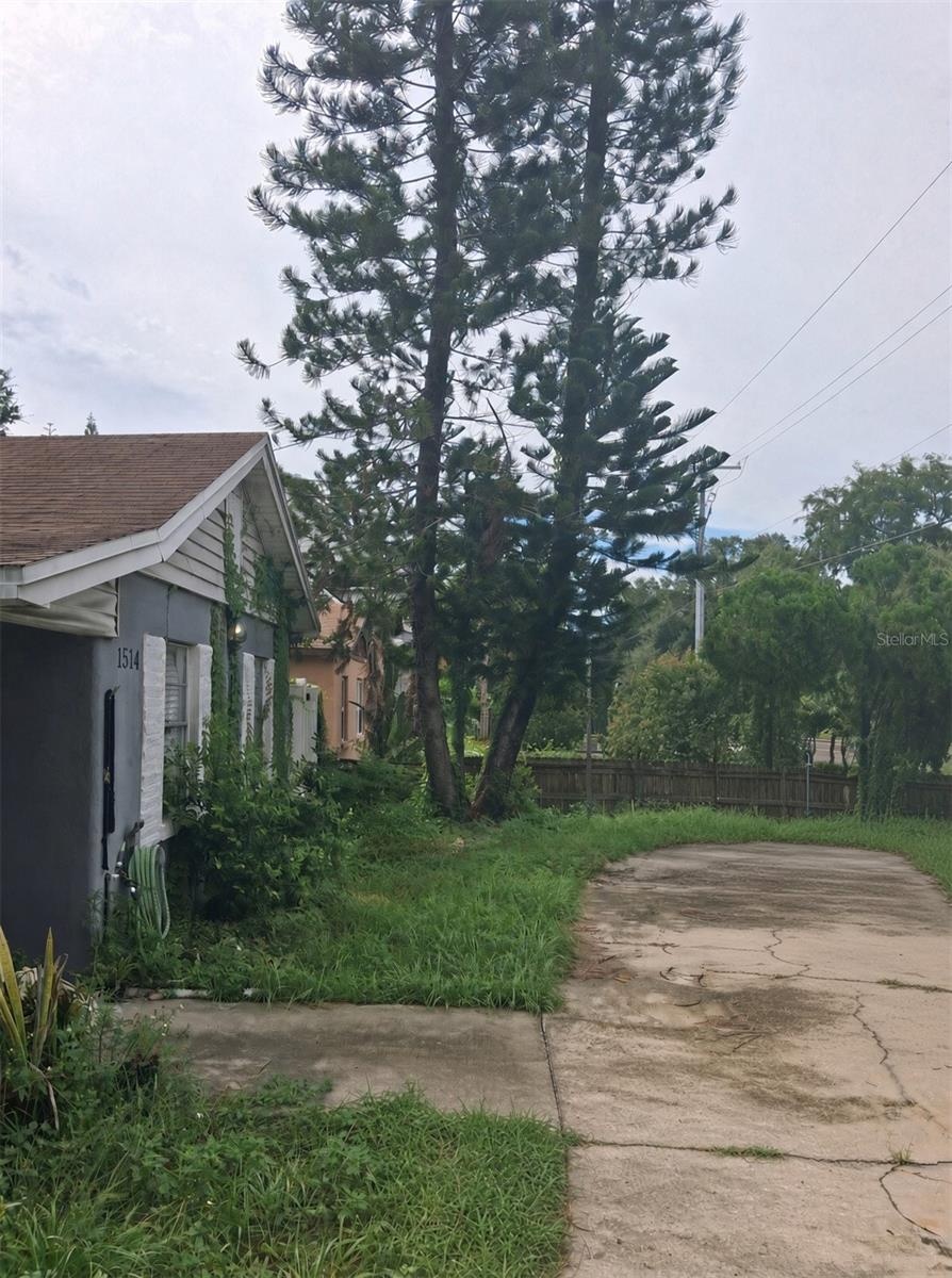 Front Trees