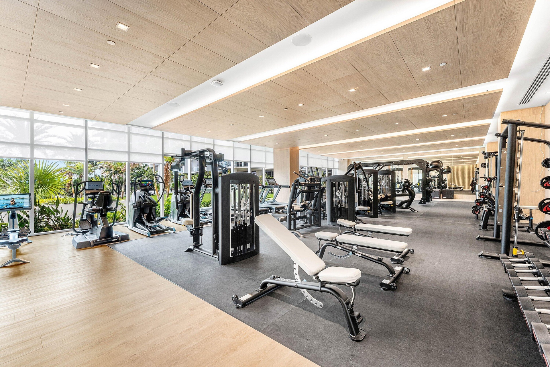 GYM