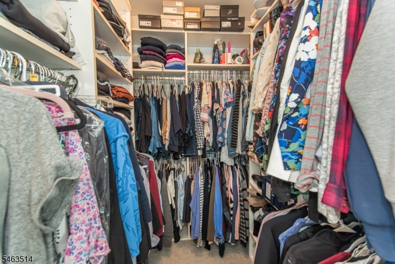 Primary Walk-in Closet - #1