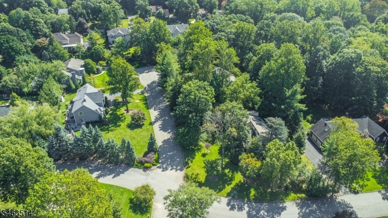 Drone showing cul-de-sac
