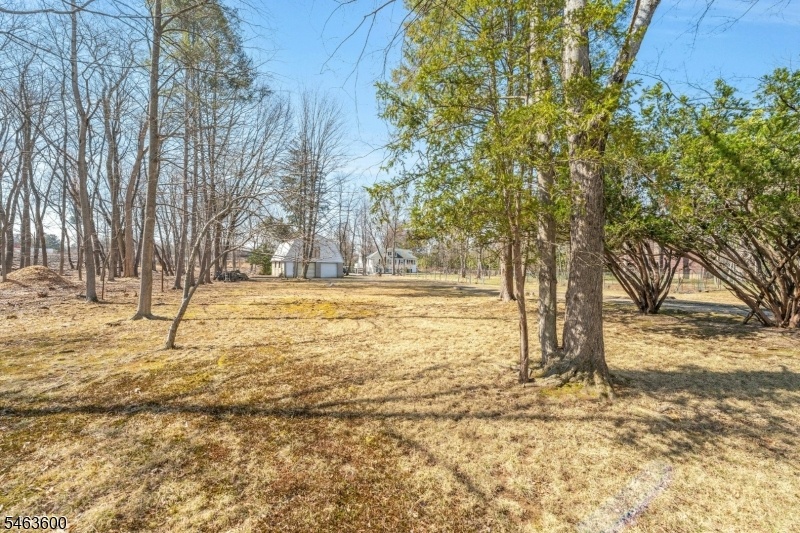 Property Street view