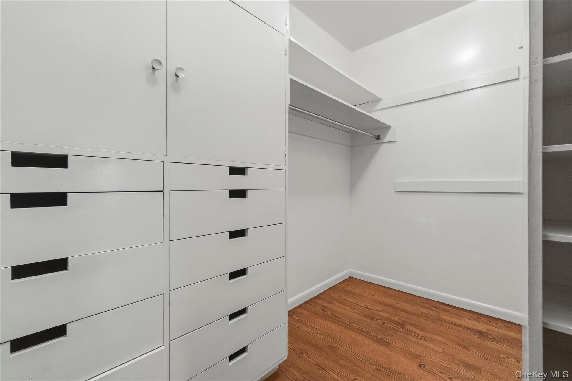 Primary custom closet