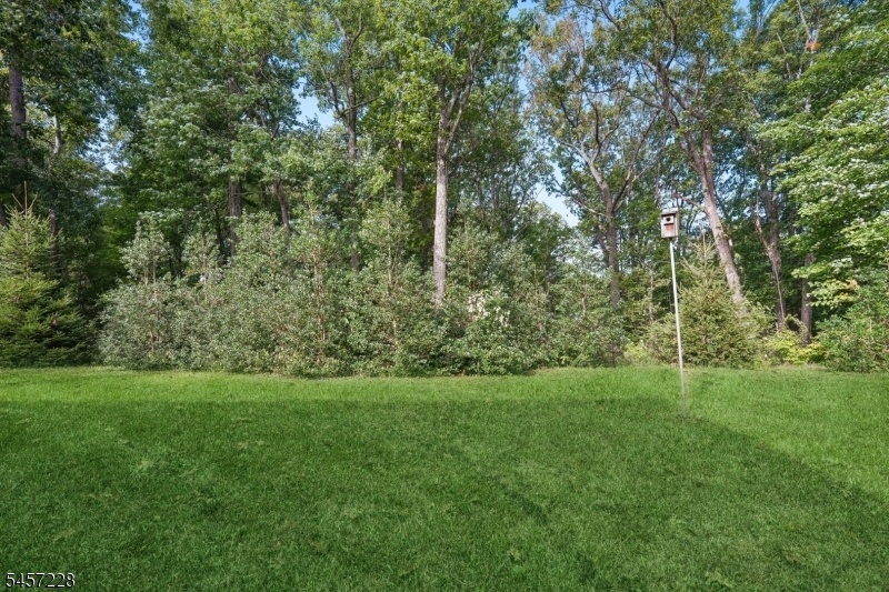 rear yard