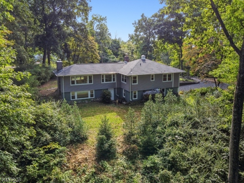 rear yard