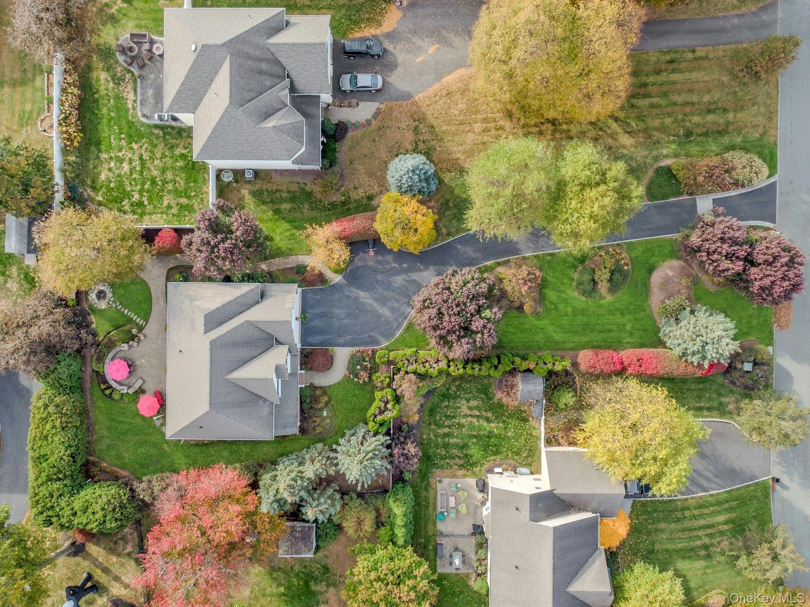 Your Own .51 Acre Park W/Lush Landscaping, Accent Lighting