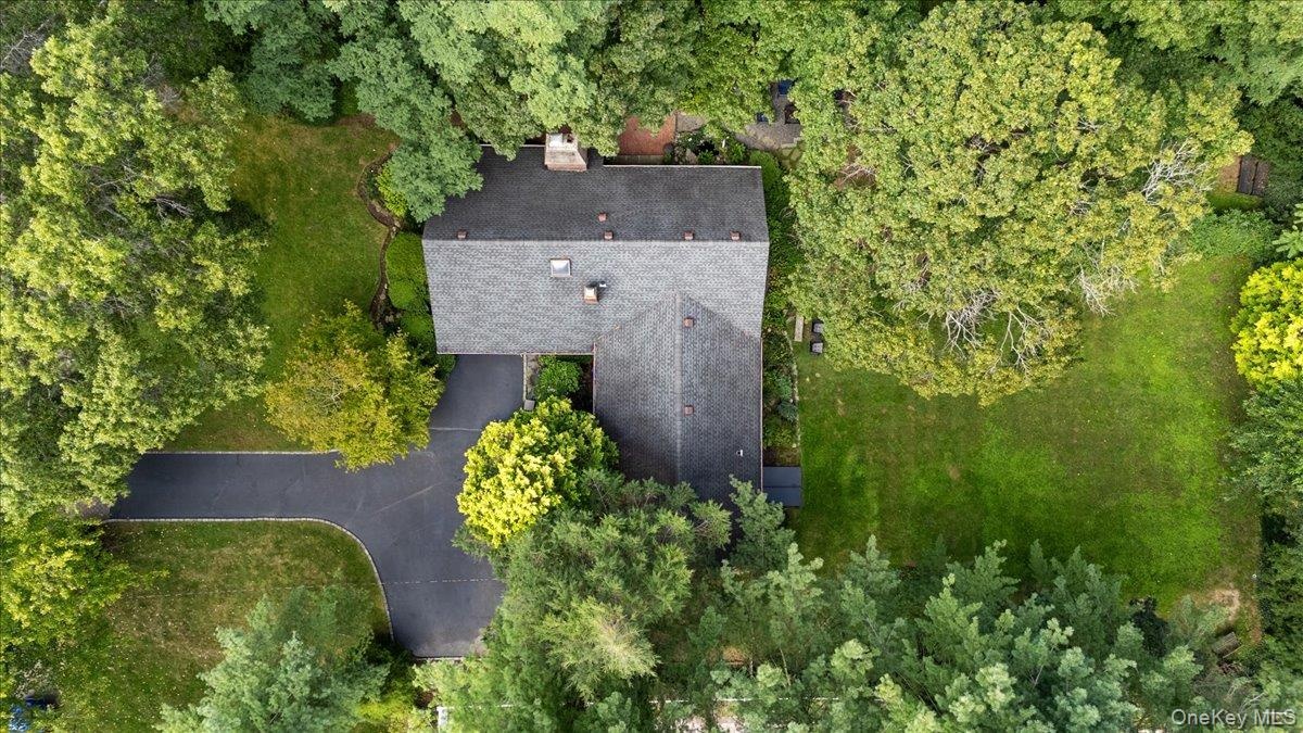 Expansive wooded grounds featuring a mature tree canopy, verdant lawn, and paved driveway