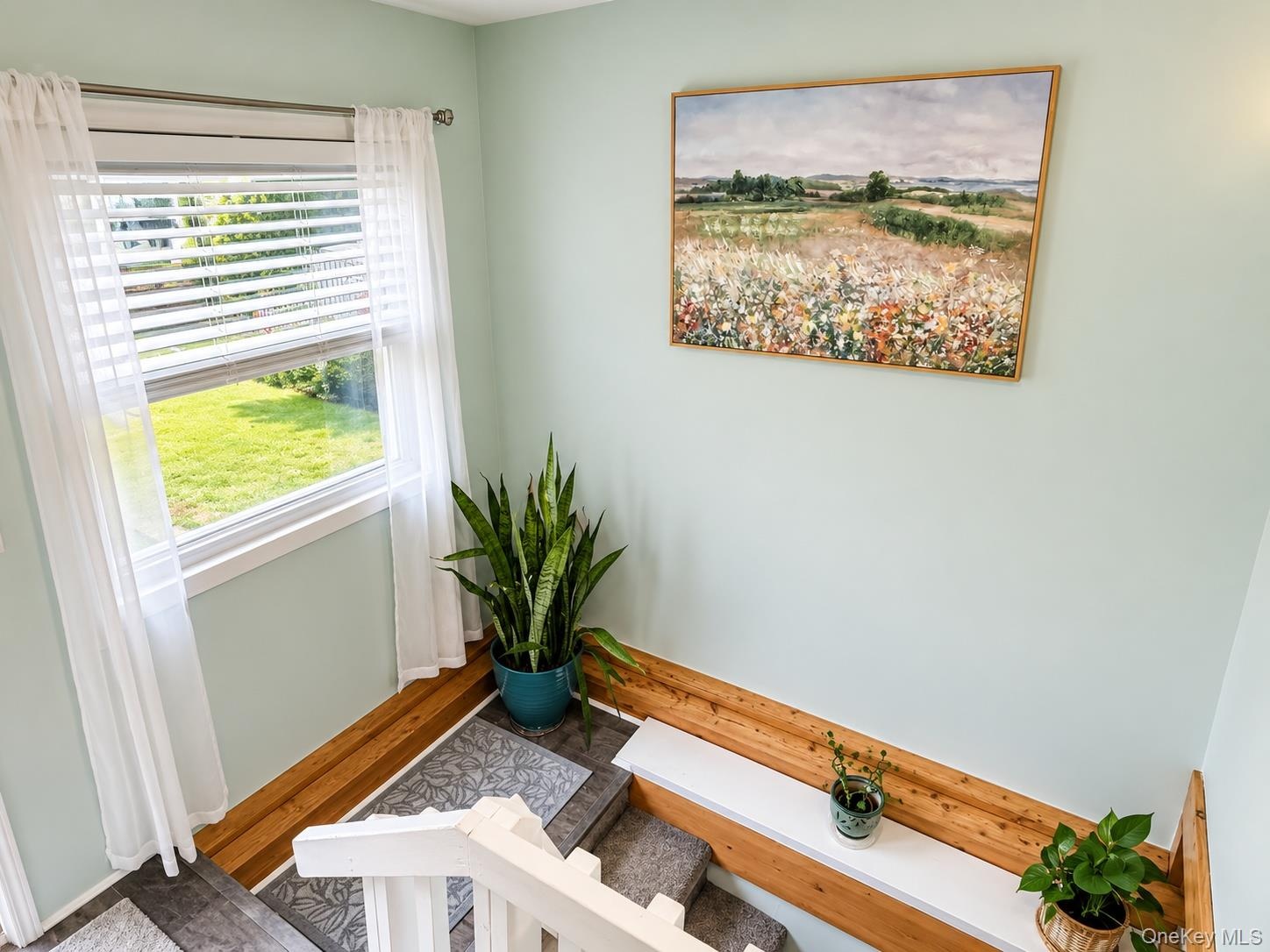 Plants love this room!