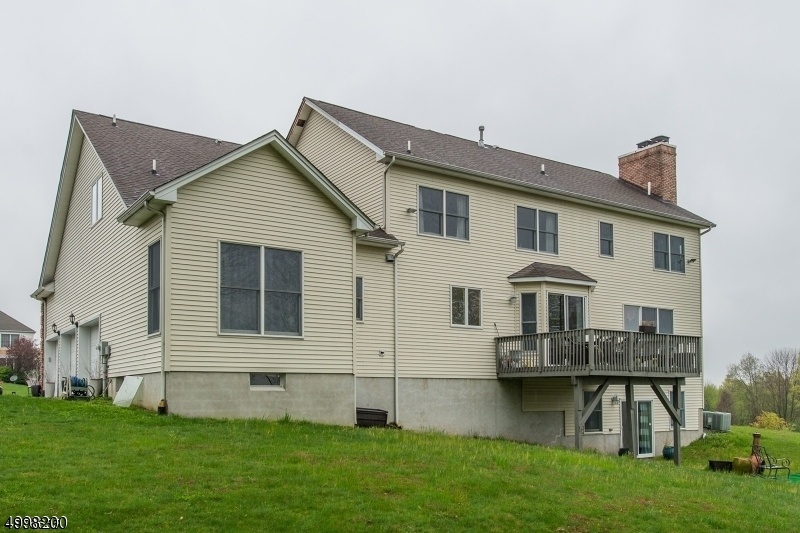 Back view