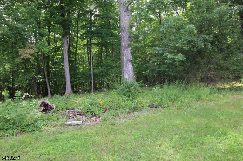 Rear Property