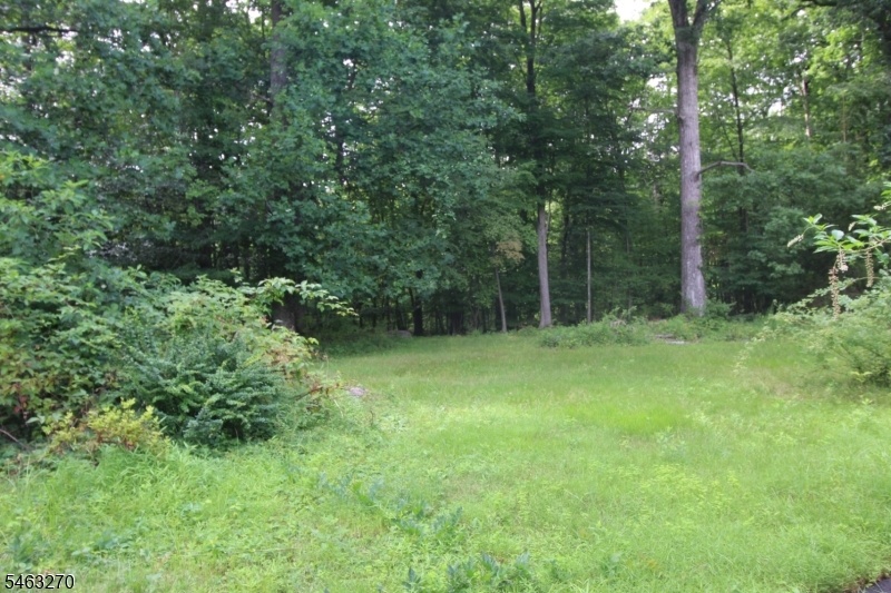 Rear Property