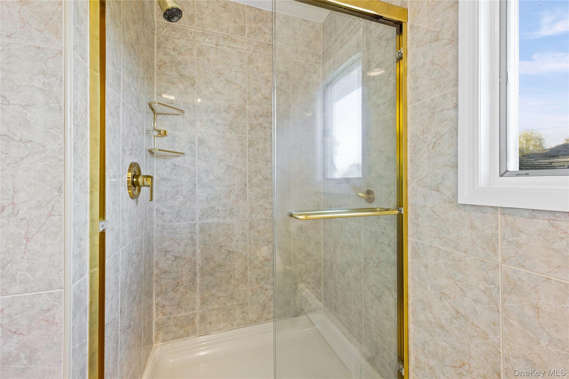 Primary Shower