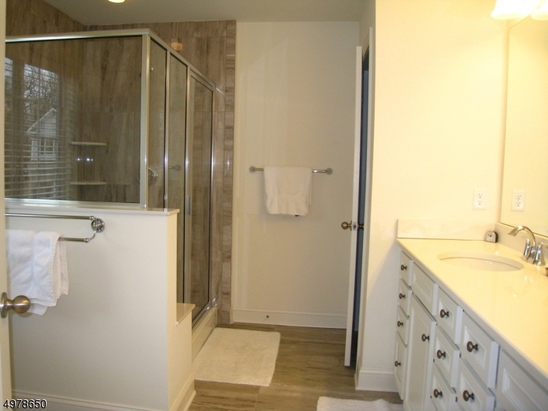 Master bath room