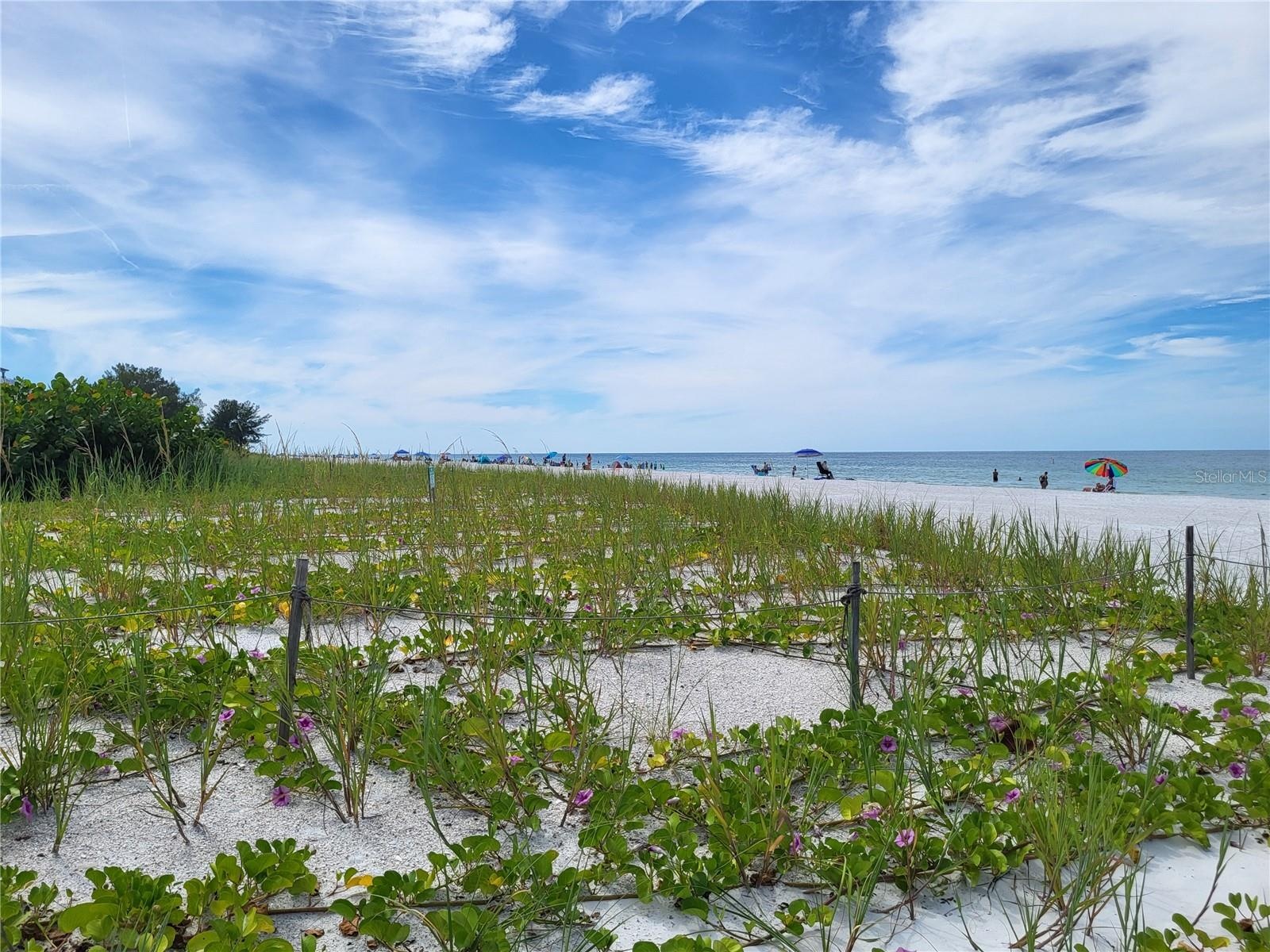 Indian Rocks Beach