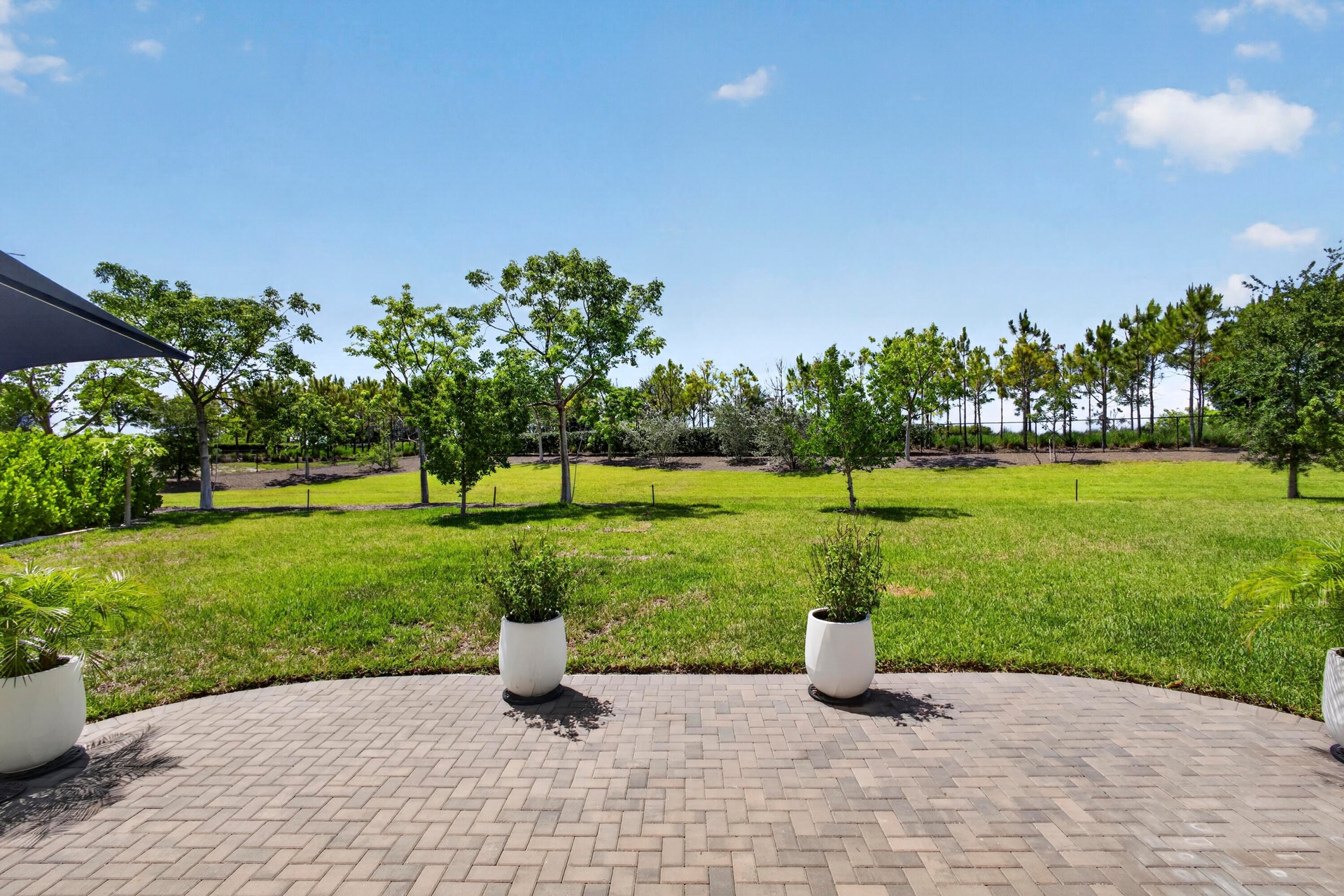 Patio View of 1/3 Acre Lot
