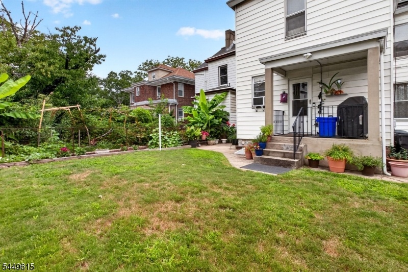 Backyard 2