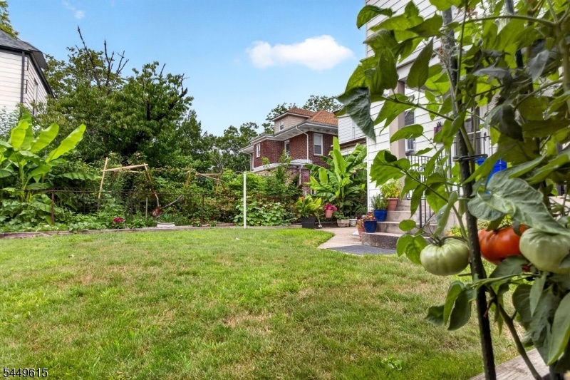 Backyard Garden