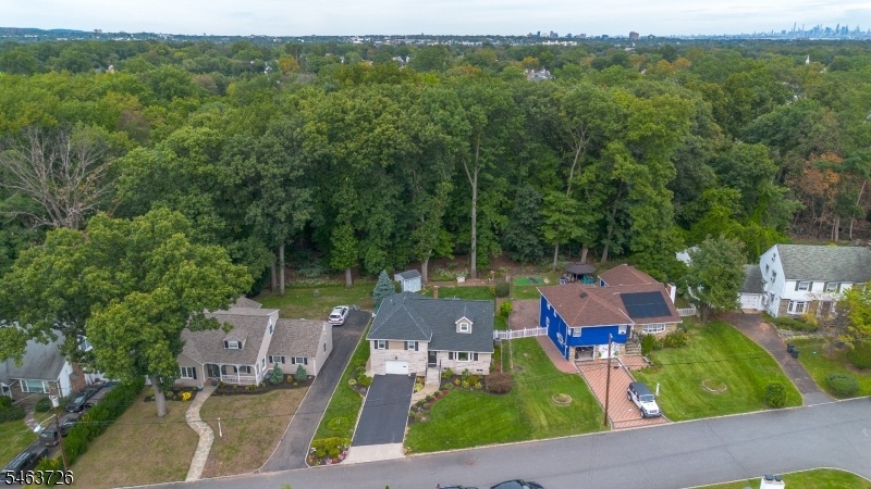 Drone View