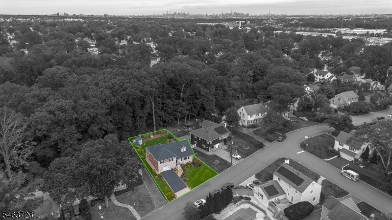 Birdseye View