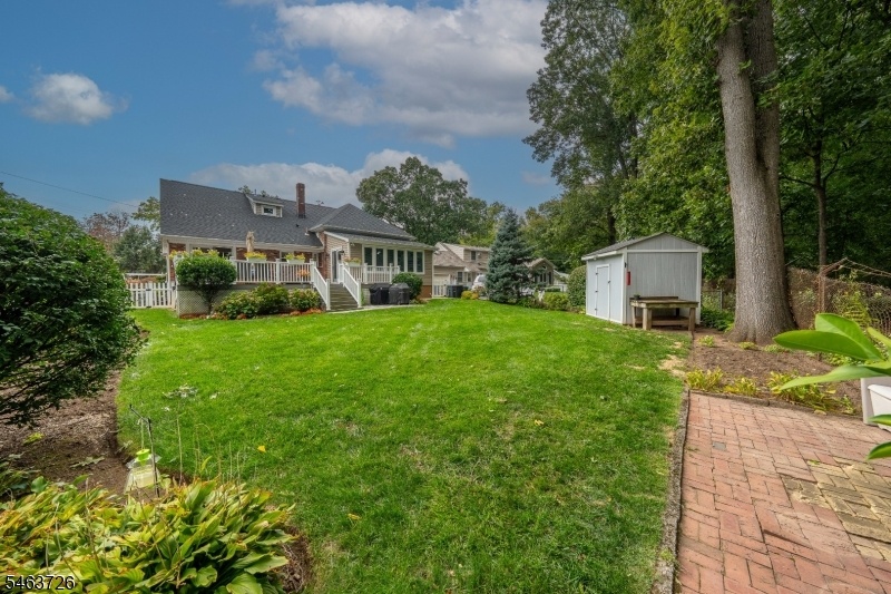 Backyard 2