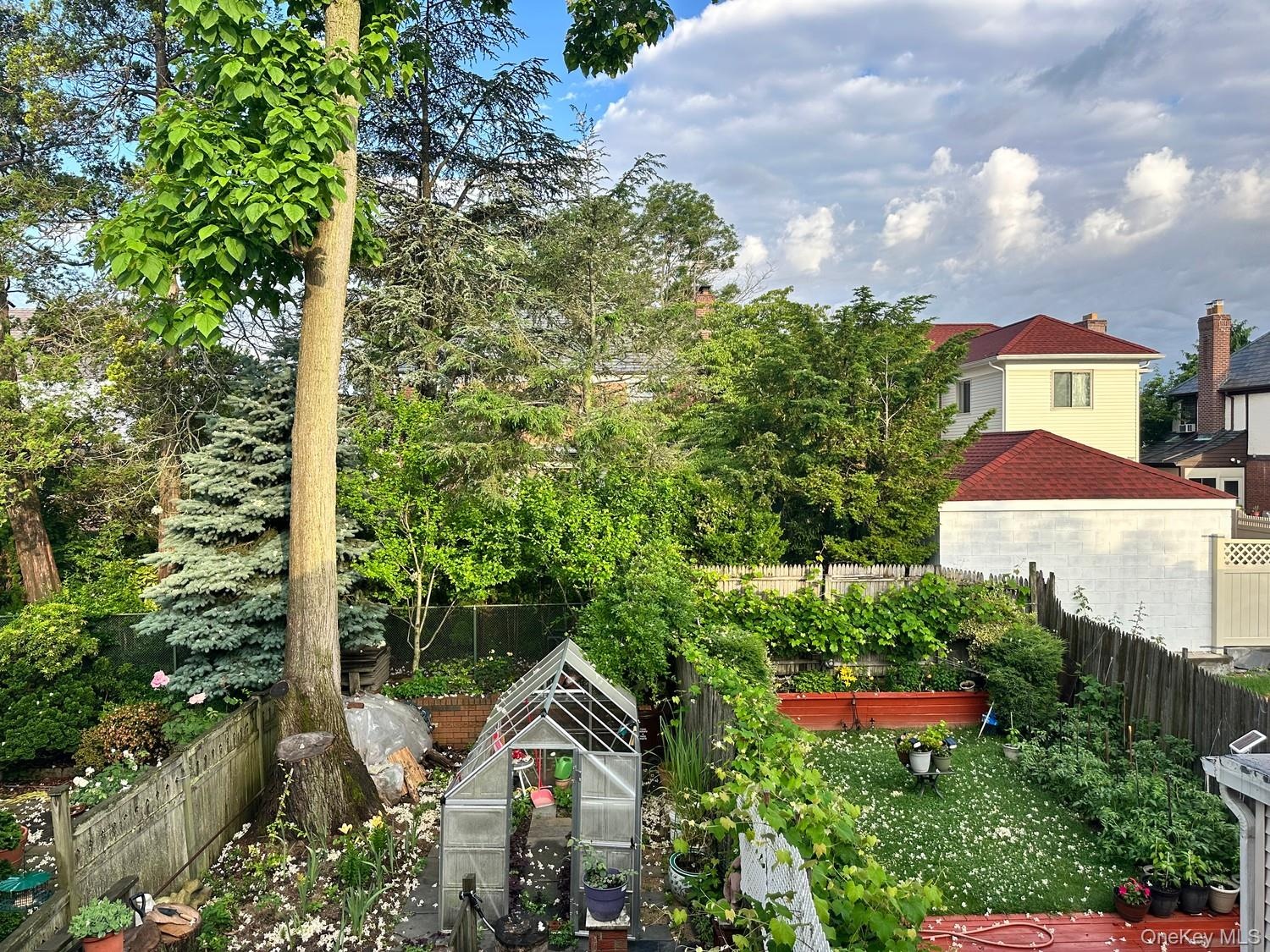 backyard Garden View