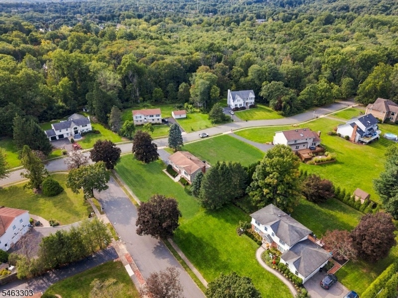 Drone View