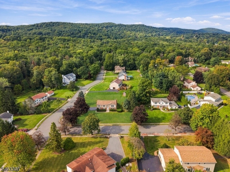 Drone View