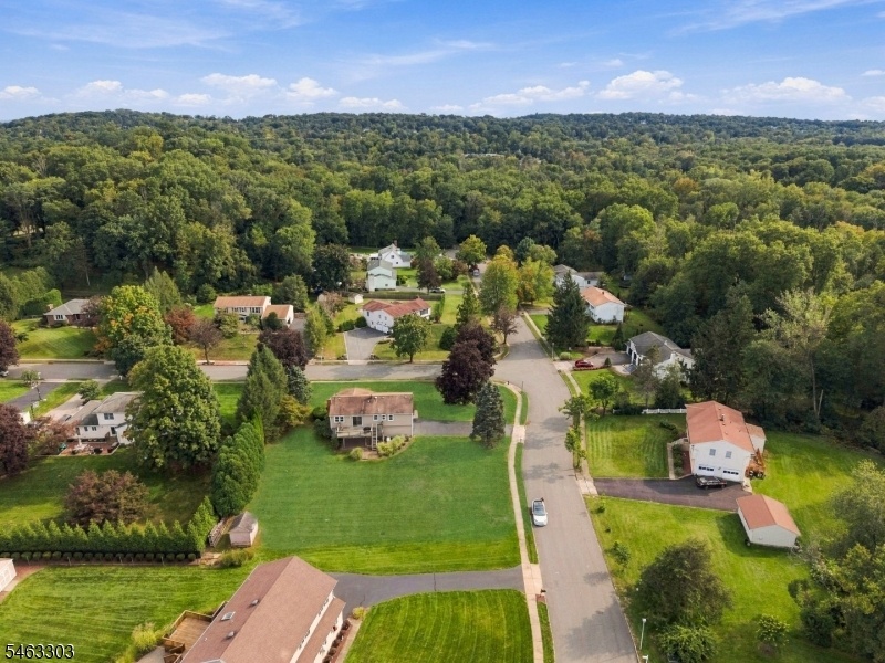 Drone View