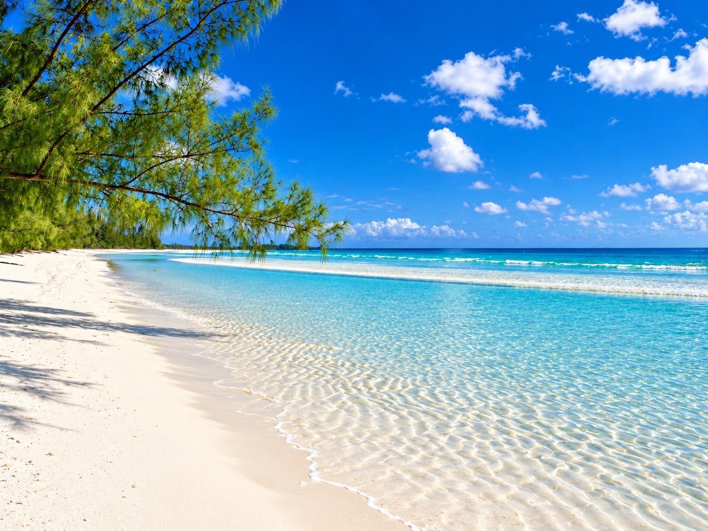SEVERAL AREA BEACHES