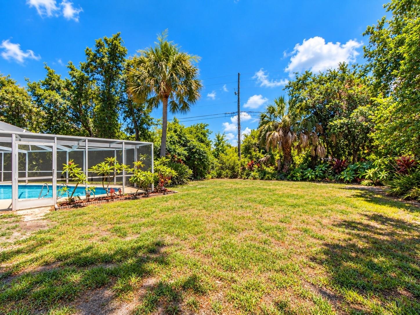 LARGE BACK YARD