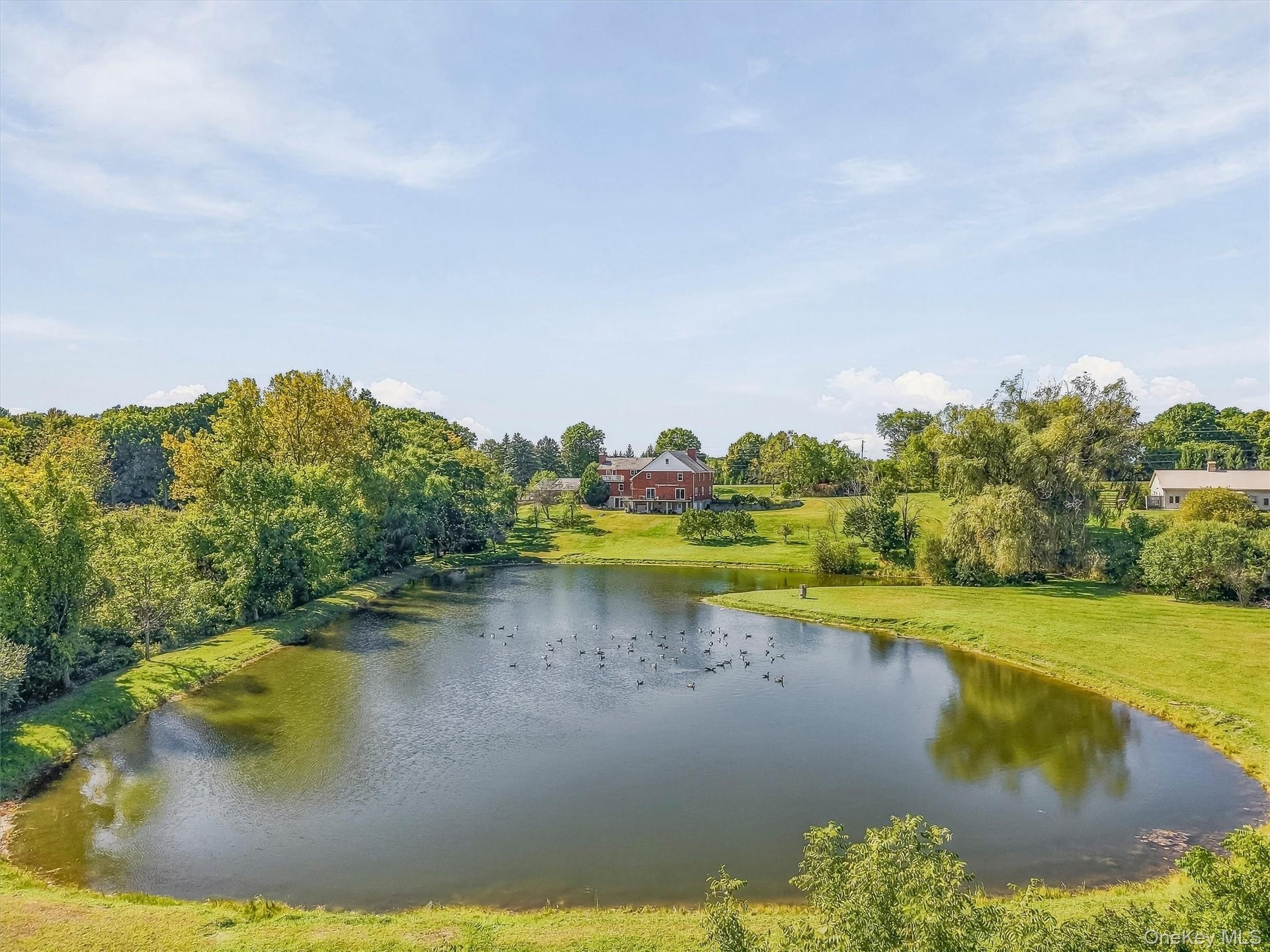 Pond view to back of home