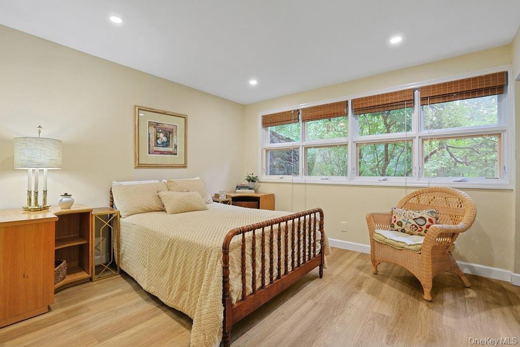 Lower level bedroom