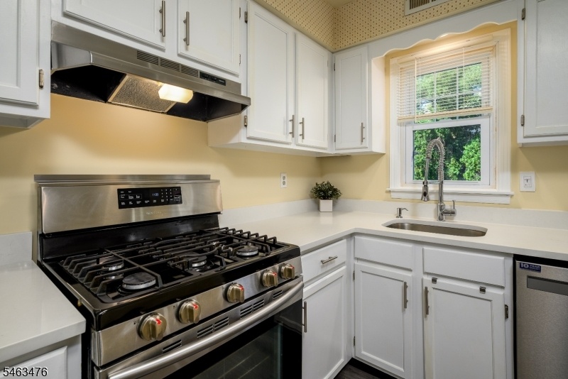 Quartz CT and SS Appliances