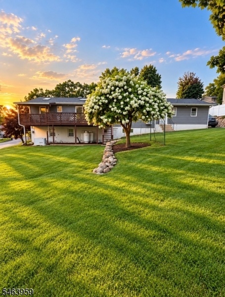 Yard