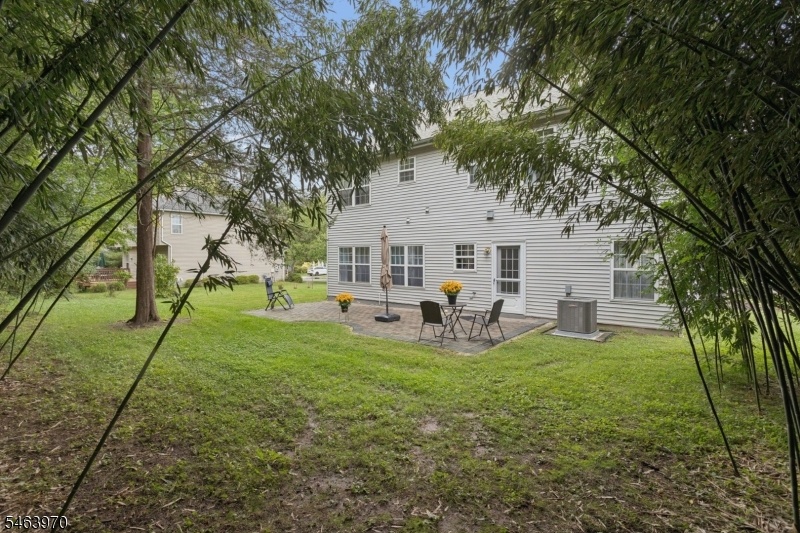Back Yard -2