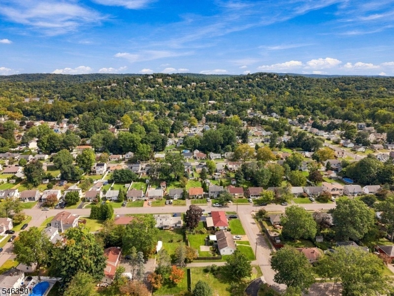 Drone View