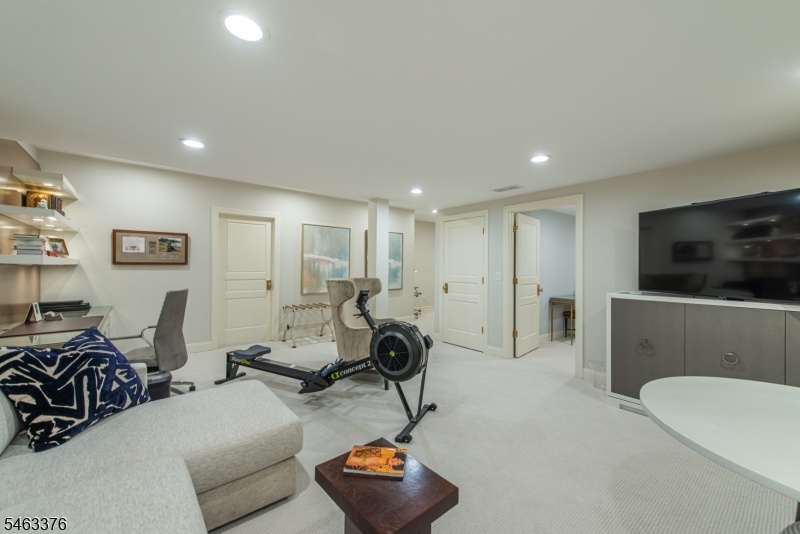 Basement Family Room