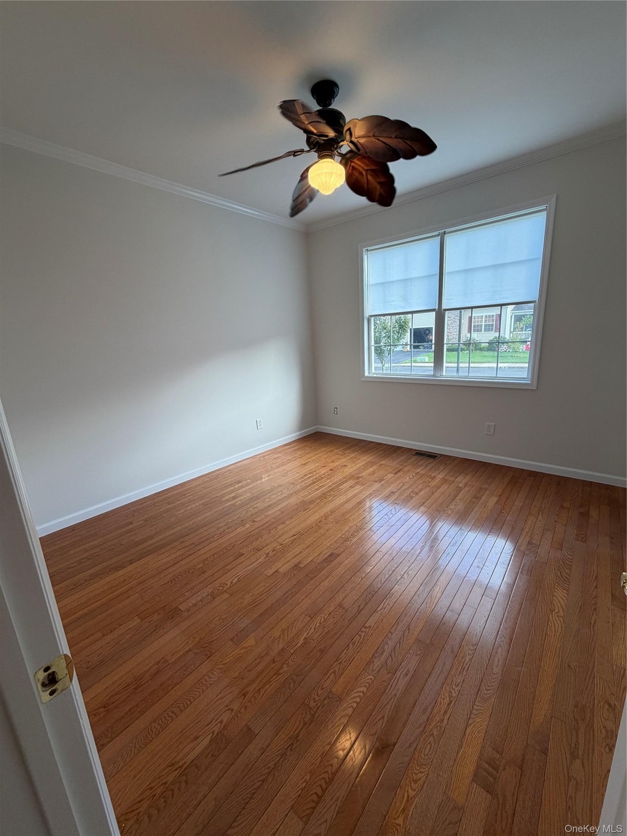 2nd bdrm, lower level with large walk in closet