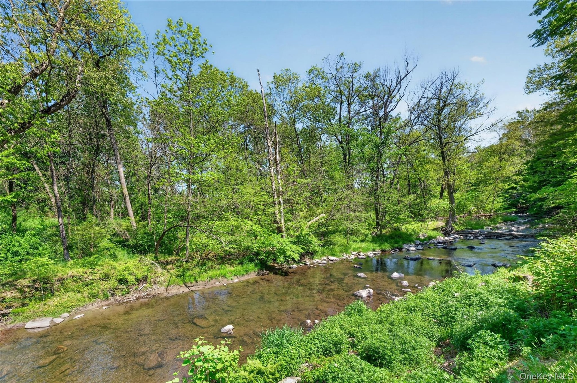 Natural stream featuring a rocky bed and surrounding lush foliage
