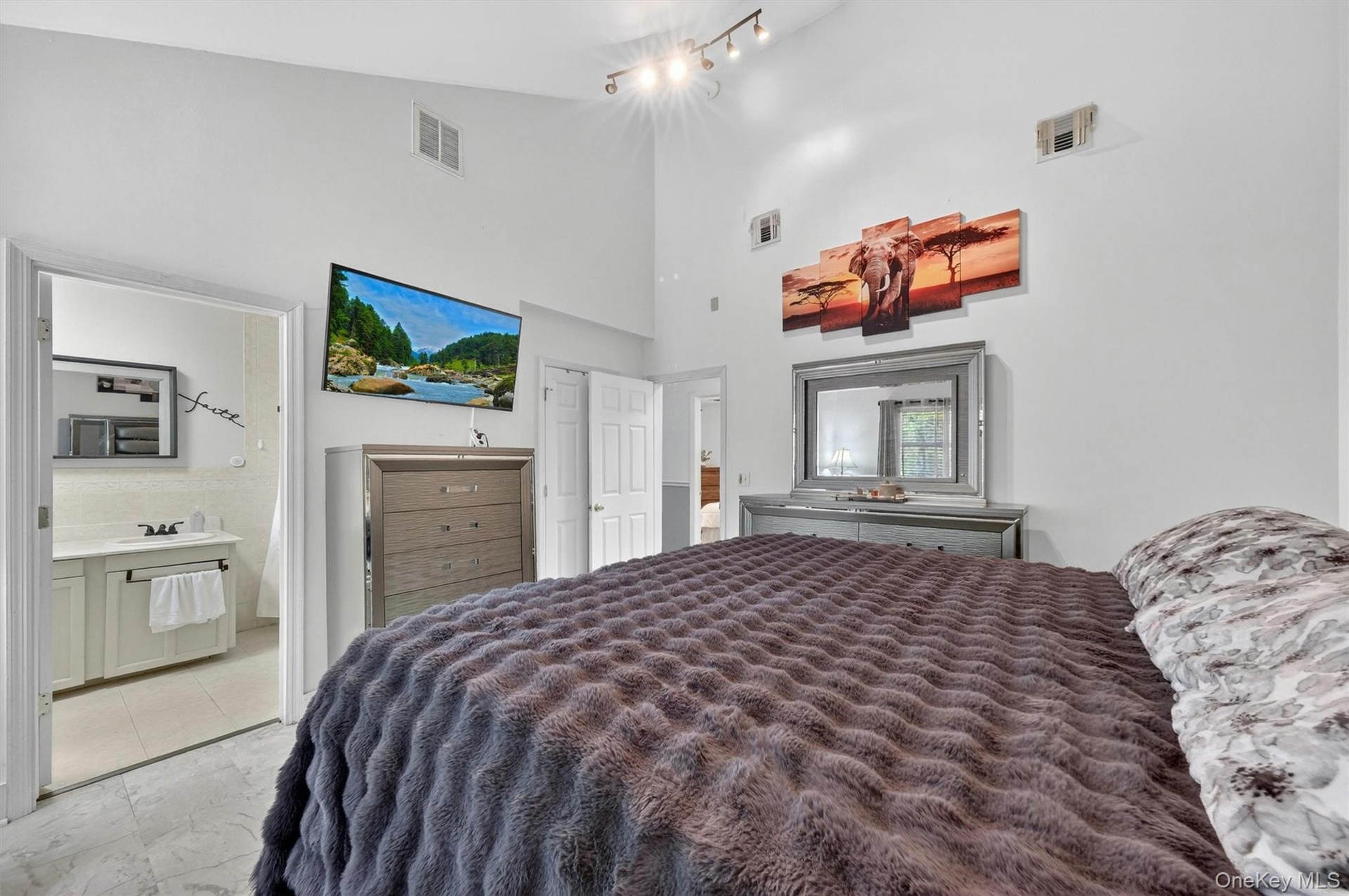 Vaulted ceiling with track lighting