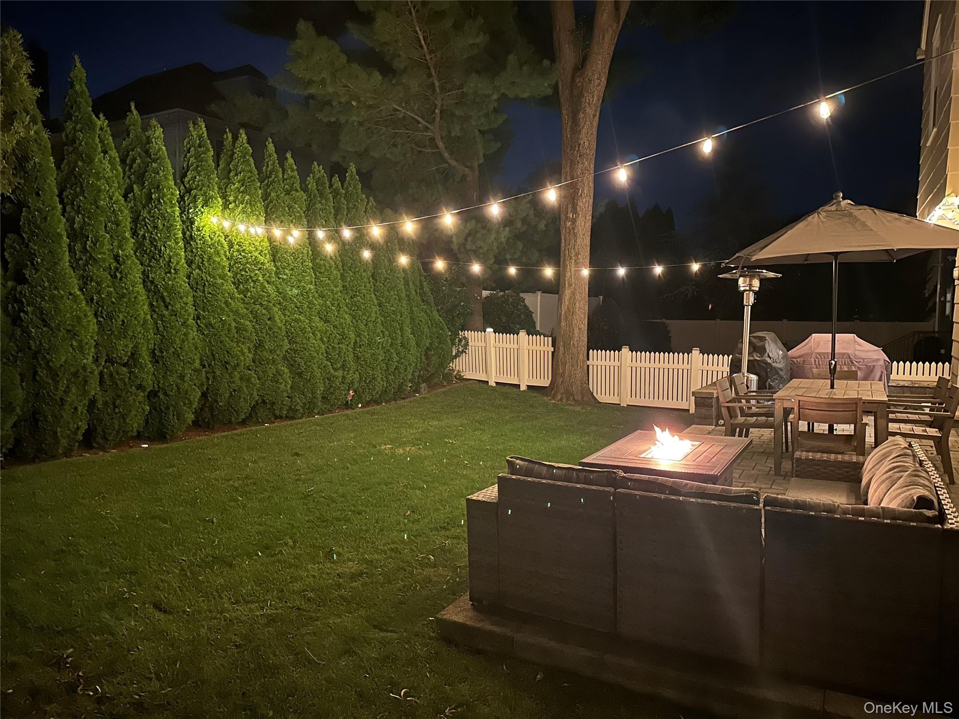 Backyard night pic