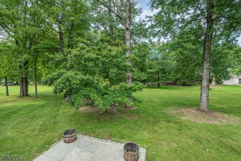 Rear yard / patio