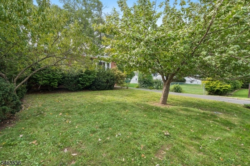 Front yard