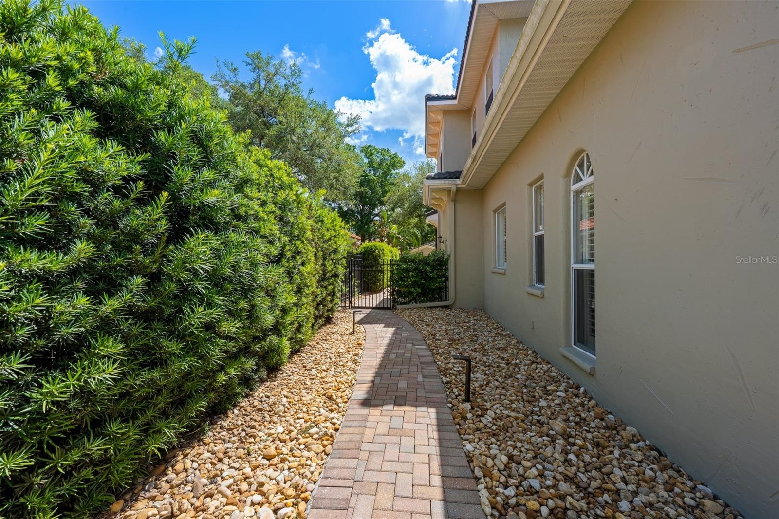 Paver walkway with river rock border and privacy hedge.