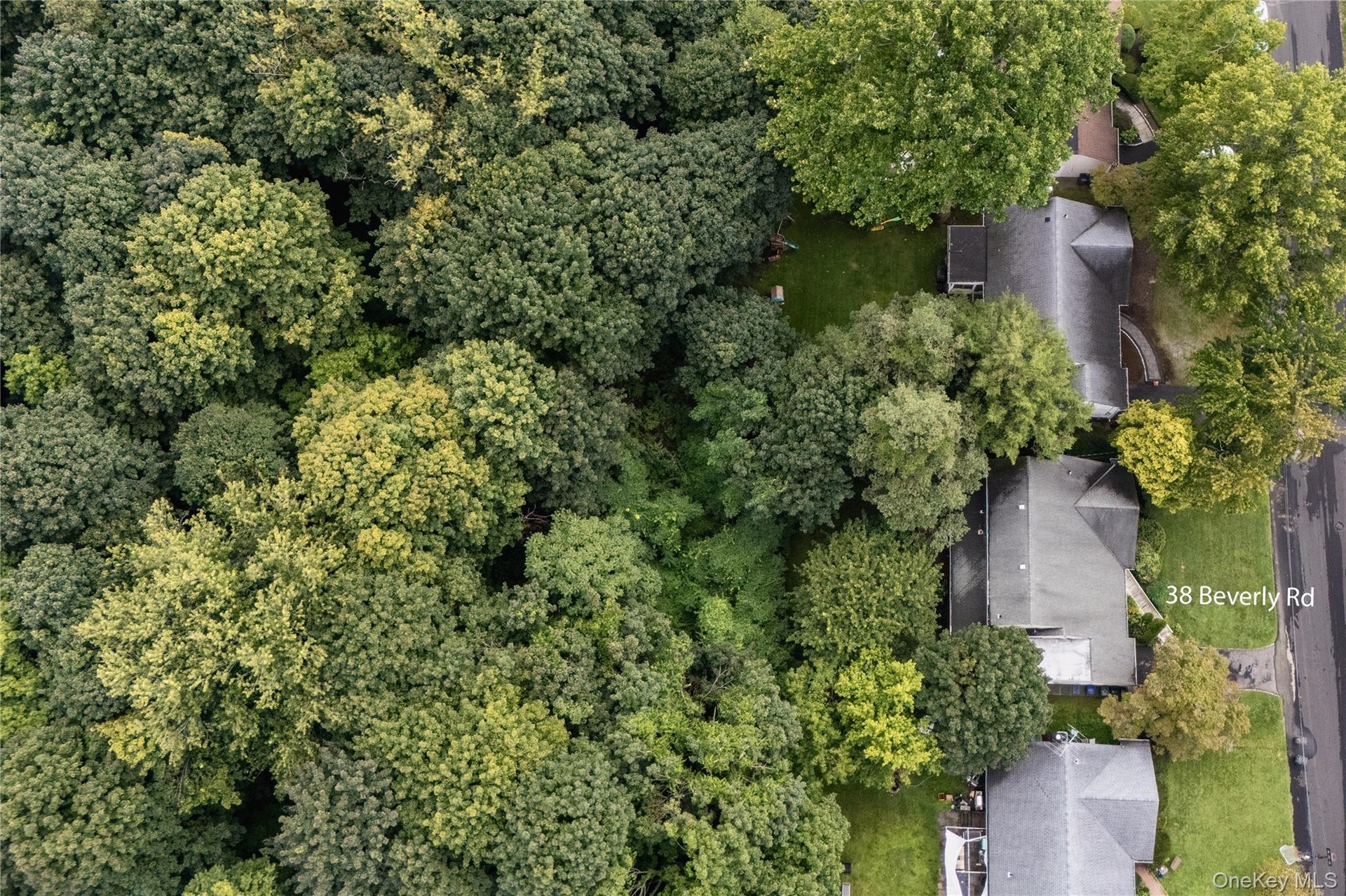 Immediately behind the house is the Jack Harrington Greenway.  This is City property with a walking trail.  It offers tremendous quiet and privacy to 