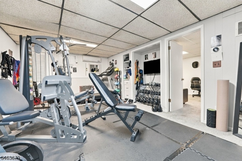 Basement Gym Room