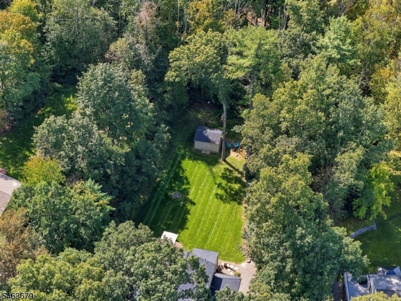 Drone Shot
