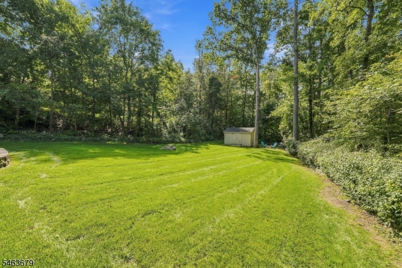 Yard View