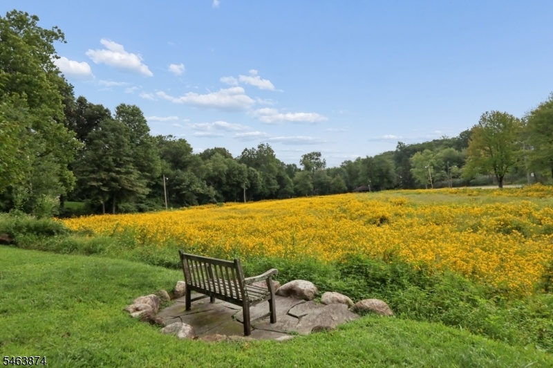 essex fells pond